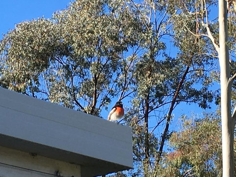 Applegate Lane Chalet - Accommodation NSW 27