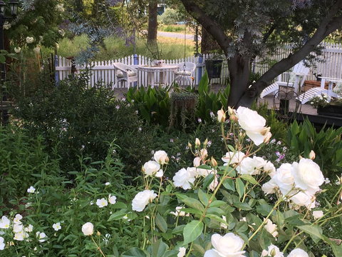 Applegate Lane Chalet - Accommodation NSW 22