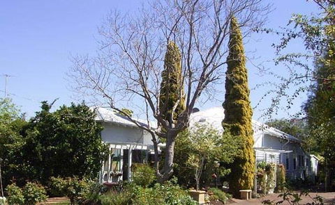 Jacaranda Guest House - Accommodation NSW 37