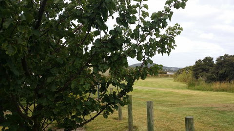 Chalets On Frenchman - Accommodation NSW 14