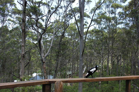 Ark Of Denmark - Accommodation NSW 11