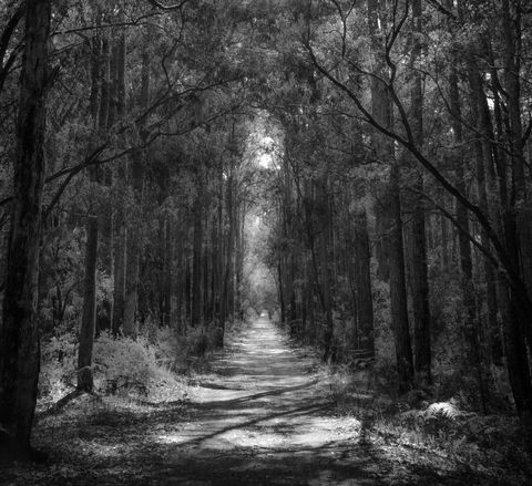 Indoyo Retreat - Accommodation NSW 40