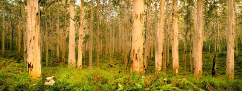 Indoyo Retreat - Accommodation NSW 34