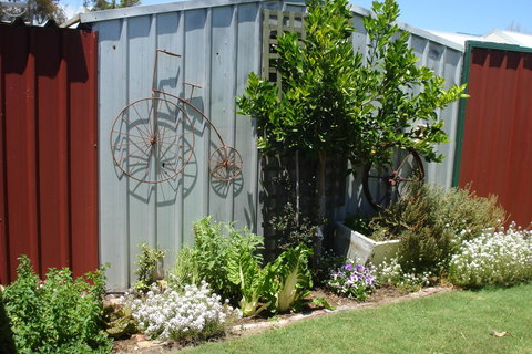 Bluebird Cottage - Accommodation NSW 26