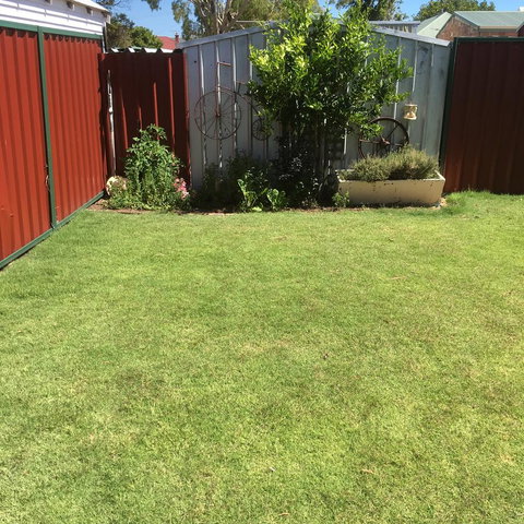 Bluebird Cottage - Accommodation NSW 29