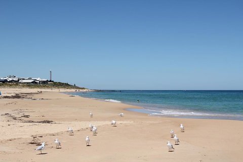 Bluebird Cottage - Accommodation NSW 40