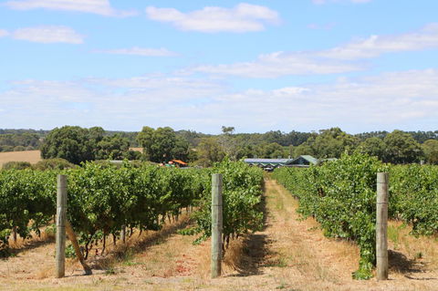 Burton Farmhouse - Accommodation NSW 11