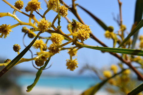 Eagle Bay House - Accommodation NSW 12