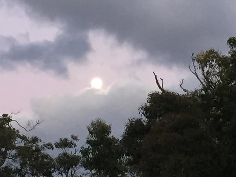 Eagle Bay House - Accommodation NSW 16