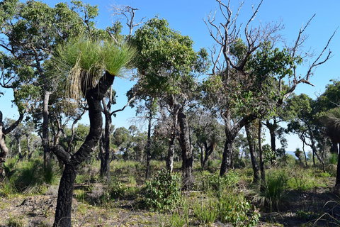 Eagle Bay House - Accommodation NSW 25