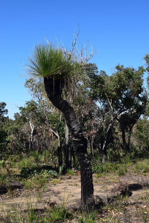 Eagle Bay House - Accommodation NSW 26