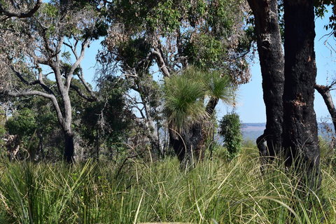 Eagle Bay House - Accommodation NSW 23