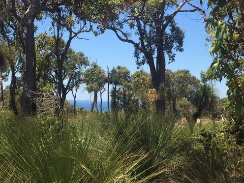 Eagle Bay House - Accommodation NSW 14