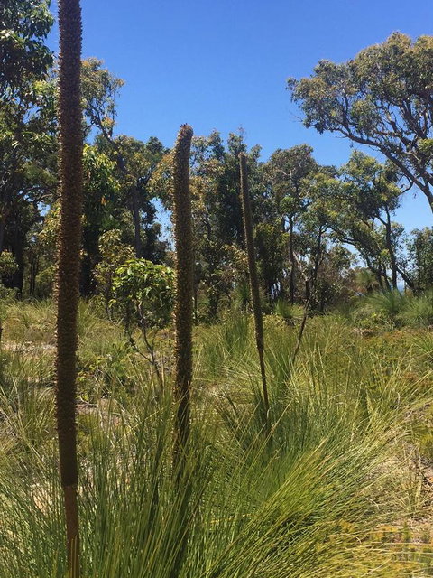 Eagle Bay House - Accommodation NSW 15