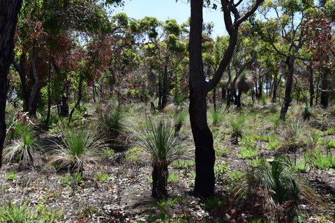 Eagle Bay House - Accommodation NSW 27