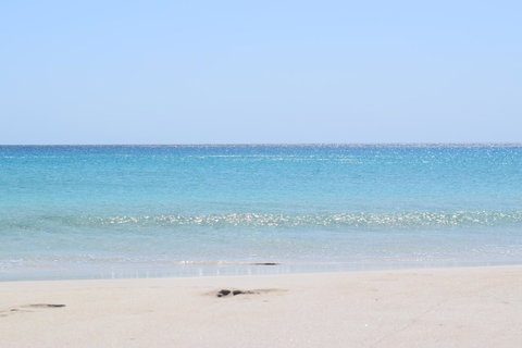 Eagle Bay House - Accommodation NSW 21