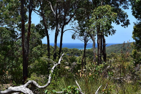 Eagle Bay House - Accommodation NSW 28