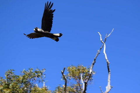 Eagle Bay House - Accommodation NSW 20