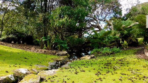 43 Degrees Bruny Island - Accommodation NSW 8