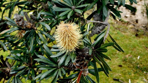 43 Degrees Bruny Island - Accommodation NSW 11