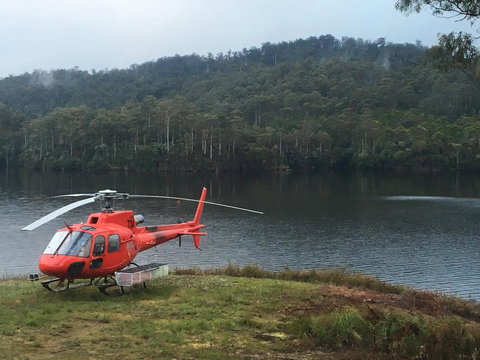 Tullah Lakeside Lodge - Accommodation NSW 12