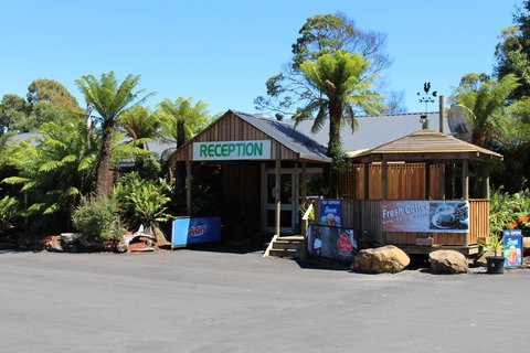 Tullah Lakeside Lodge - Accommodation NSW 5