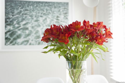 On The Beach Waterfront Apartment - Accommodation NSW 0