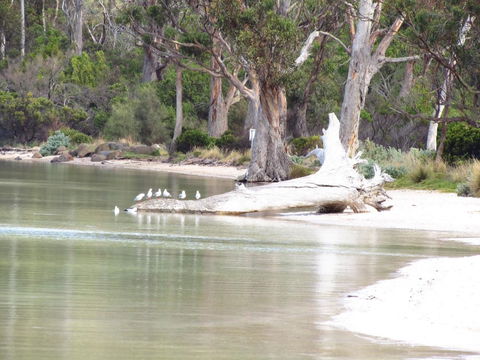 The Boat Shed - Accommodation NSW 12