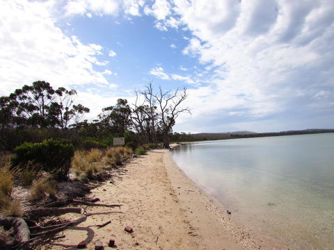 The Boat Shed - Accommodation NSW 2
