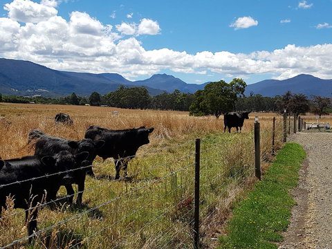 The Manager\'s Cottage - Accommodation NSW 6