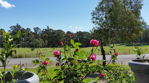 The Manager\'s Cottage - Accommodation NSW 17