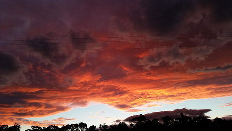 The Manager\'s Cottage - Accommodation NSW 12