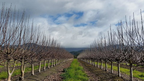 The Manager\'s Cottage - Accommodation NSW 18