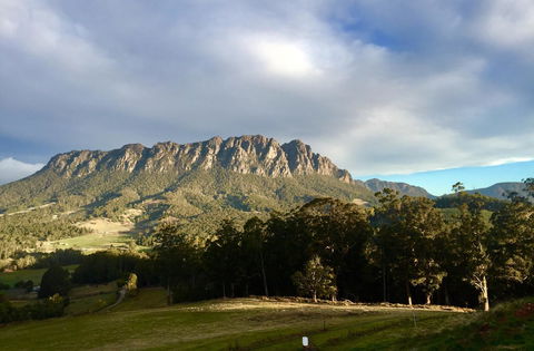 Manna Hill Farm - Accommodation NSW 4