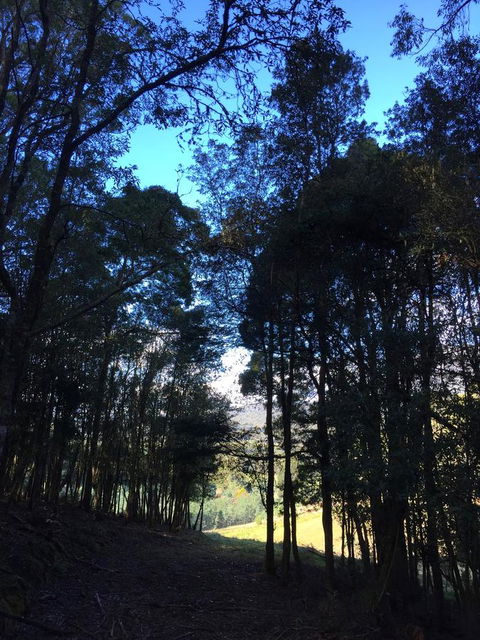 Manna Hill Farm - Accommodation NSW 27