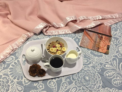 Manna Hill Farm - Accommodation NSW 34