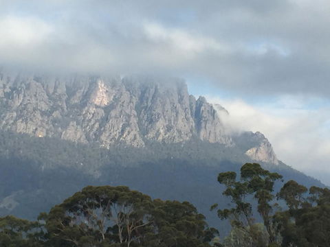 Manna Hill Farm - Accommodation NSW 30