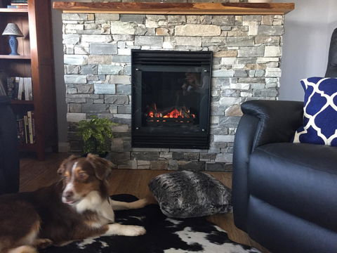 Manna Hill Farm - Accommodation NSW 12