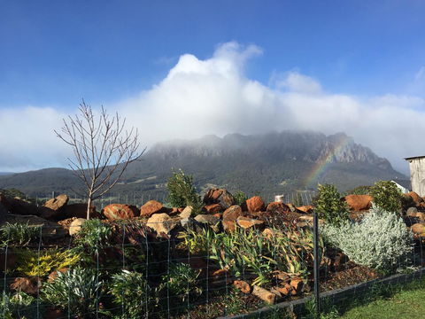 Manna Hill Farm - Accommodation NSW 25