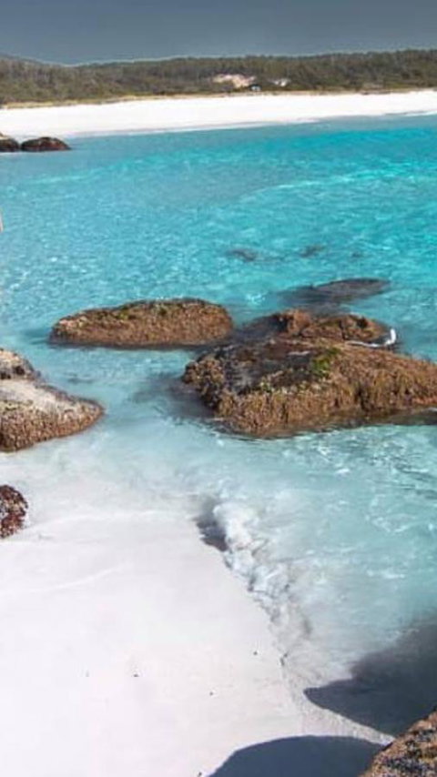 Georges Bay Apartments - Accommodation NSW 1