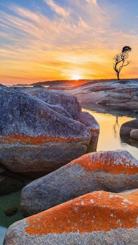 Georges Bay Apartments - Accommodation NSW 3