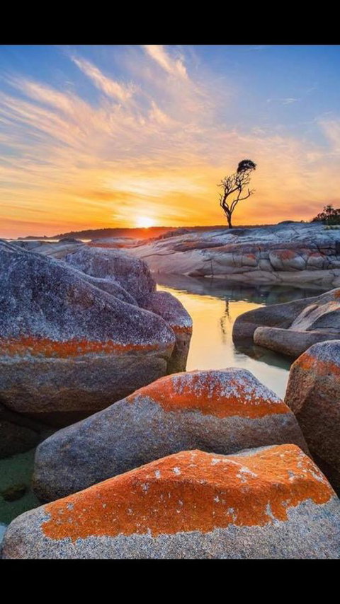 Georges Bay Apartments - Accommodation NSW 4