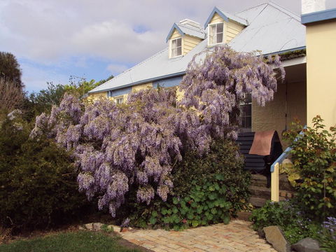 Orford's Sanda House B&B - Accommodation NSW 40
