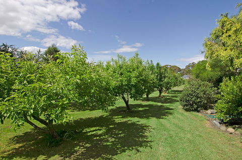 Orford's Sanda House B&B - Accommodation NSW 37