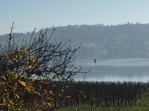 Amble\'a\'While On Tamar - Accommodation NSW 23