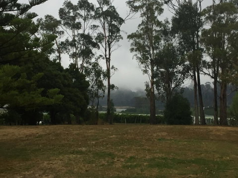 Amble\'a\'While On Tamar - Accommodation NSW 39