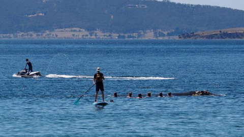The Ultimate Beach House - Accommodation NSW 19