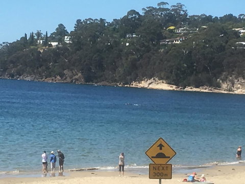 The Ultimate Beach House - Accommodation NSW 2