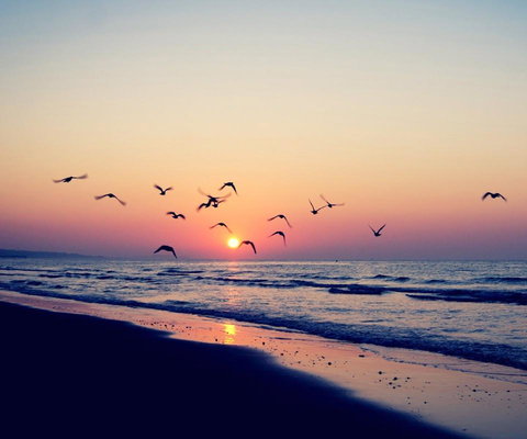 Kingston Beach-House Retreat - Accommodation NSW 18