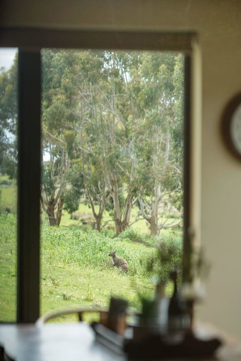 Adventure Bay Retreat Bruny Island - Accommodation NSW 7